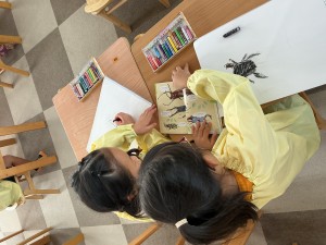 IMG_0084